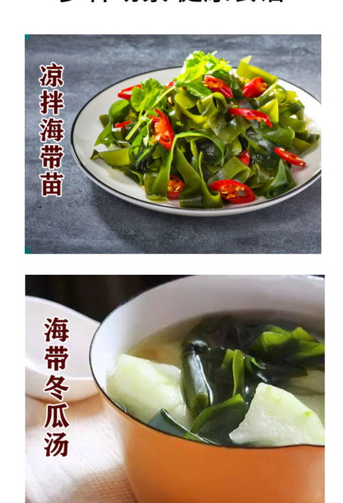 霞浦壓縮海帶苗圓餅 無沙免洗即食，特級脆嫩海味干貨批發首選
