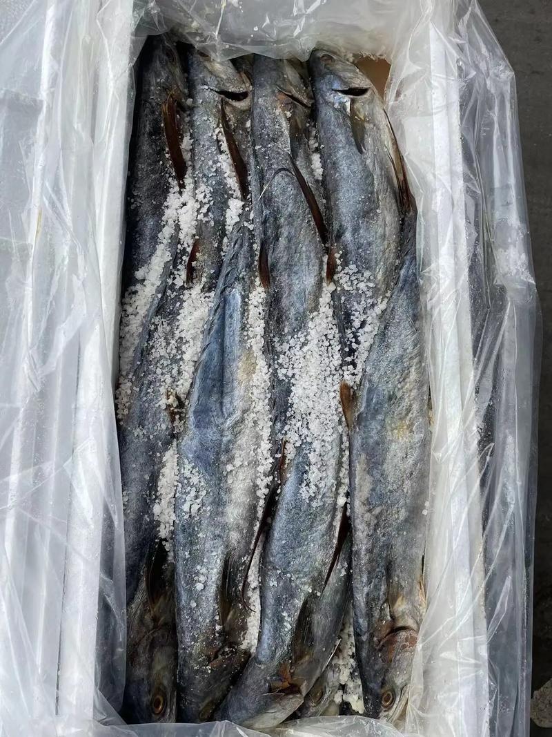 專業海味干貨批發 品質之選，放心之源