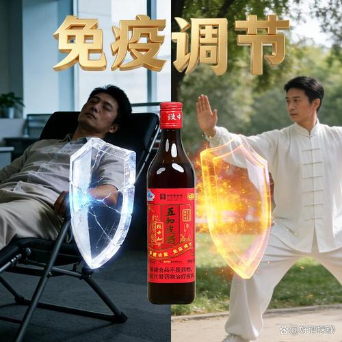 養(yǎng)生酒品牌高性價比推薦 找到健康與美味的完美結(jié)合